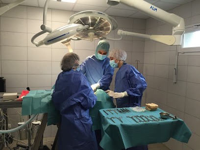 Clinique Vétérinaire Du Cèdre, Clinique Vétérinaire à Épron