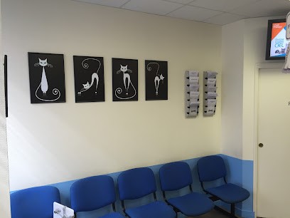 Clinique Vétérinaire des Gratte-Ciel, Clinique Vétérinaire à Villeurbanne