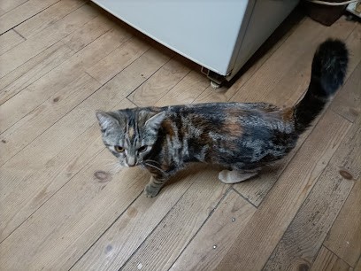 Clinique Vétérinaire Gargenville, Clinique Vétérinaire à Gargenville