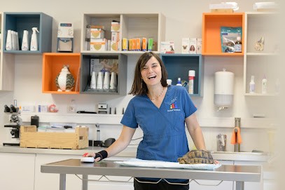 Le Cabinet Vétérinaire 38°5 des Chanoinesses, Clinique Vétérinaire à Remiremont