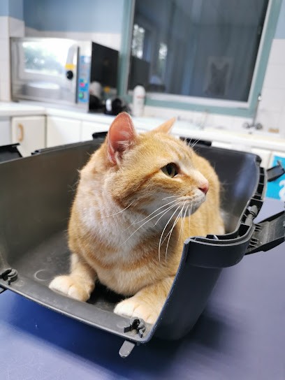 Clinique Vétérinaire de l'Erable Rouge, Clinique Vétérinaire à Tournus