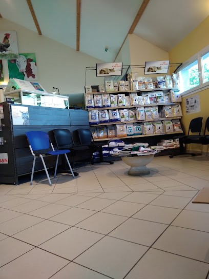 Clinique Vétérinaire De L’Ile Verte, Clinique Vétérinaire à Vesoul