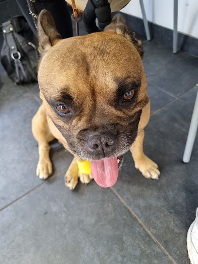 Clinique Veterinaire Vet'azur SELARL, Clinique Vétérinaire à Six-Fours-les-Plages