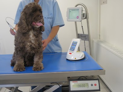 Dr. Delphine Zapata LASER - REEDUCATION FONCTIONNELLE IMOOVE, Clinique Vétérinaire à Vienne