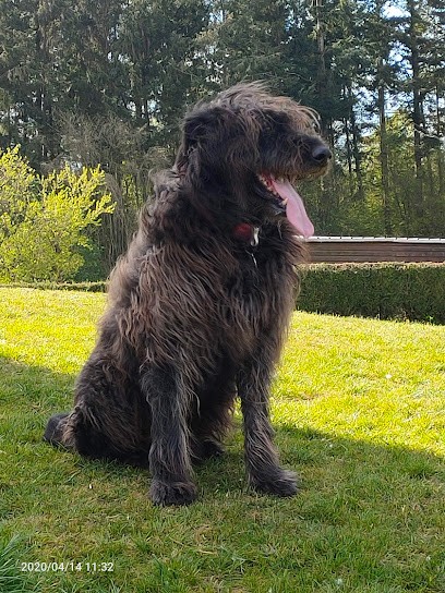 Clinique Veterinaire Du Dr Bouckaert, Clinique Vétérinaire à Nouzonville