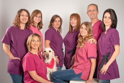 Clinique vétérinaire des 1001 pattes, Clinique Vétérinaire à Marlenheim