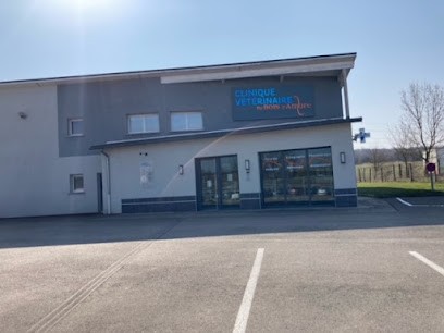 CLINIQUE VETERINAIRE SAINT VIT, Clinique Vétérinaire à Saint-Vit