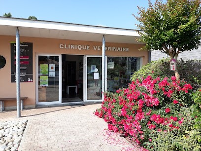 Clinique vétérinaire de l'Illot (SELARLU VETOILLOT), Clinique Vétérinaire à La Lande-de-Fronsac