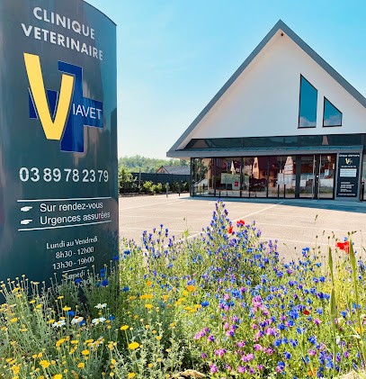 Clinique Vétérinaire VIAVET, Clinique Vétérinaire à Kaysersberg Vignoble