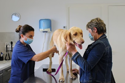 Clinique Vétérinaire VPLUS de Mirambeau, Clinique Vétérinaire à Mirambeau