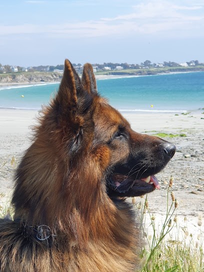 CLINIQUE VETERINAIRE DES RIVIERES Dr BARROT-DEBREIL, Clinique Vétérinaire à Pont-Aven