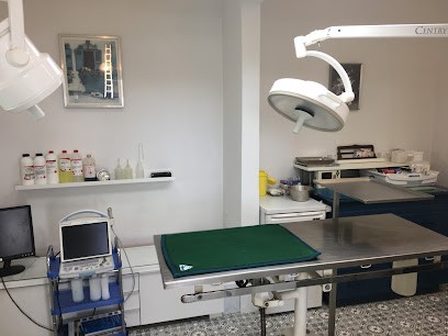 CABINET VÉTÉRINAIRE MEDICO-CHIRURGICAL DR BOUTTER, Clinique Vétérinaire à Jargeau
