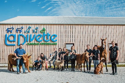 Clinique Vétérinaire La Divette, Clinique Vétérinaire à Sideville