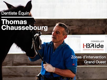 Thomas Chaussebourg Dentiste Equin TDE, Clinique Vétérinaire à Plougrescant