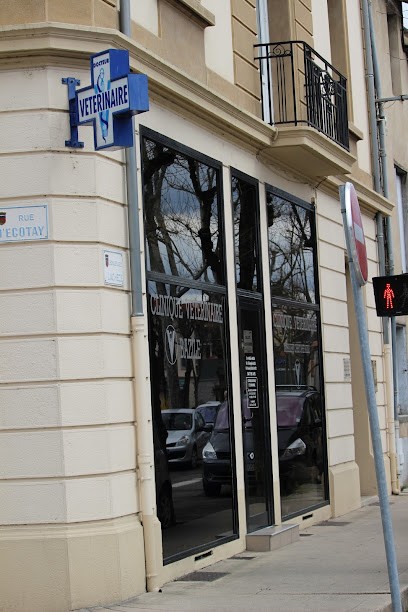 Clinique Vétérinaire Bazile Christophe, Clinique Vétérinaire à Montbrison