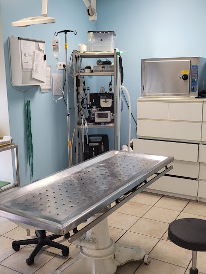 Veterinary Clinic Of Alleys, Clinique Vétérinaire à Nérac