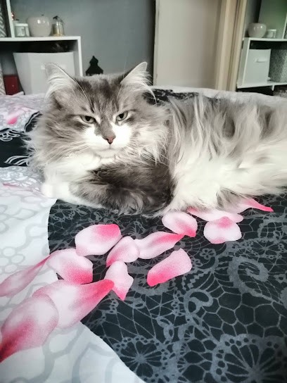 Clinique Vétérinaire du Pré, Clinique Vétérinaire au Pré-Saint-Gervais