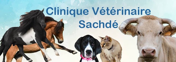 Cabinet Vétérinaire des Docteurs Sachdé, Clinique Vétérinaire à Masseube