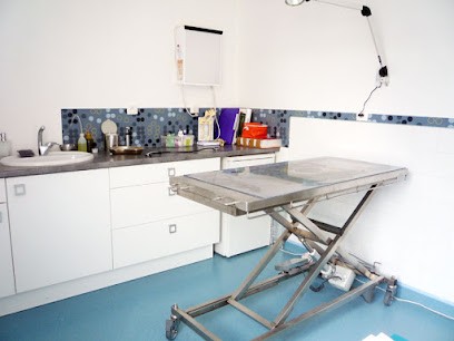 Veterinary Clinic of Écharrières, Clinique Vétérinaire à Saint-Jean-de-Bournay
