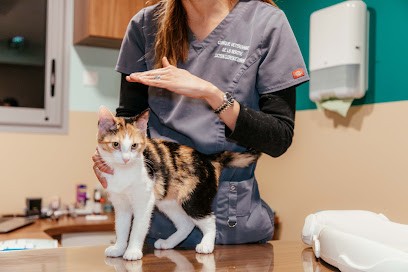 Clinique vétérinaire VetOptima, Clinique Vétérinaire à Gignac-la-Nerthe