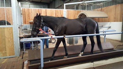Clinique Vétérinaire Equine Valère, Clinique Vétérinaire à Vimoutiers