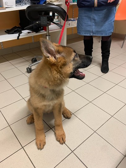 Cabinet Veterinaire Dr Manso, Clinique Vétérinaire à Jussey