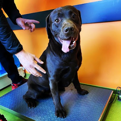 Clínica veterinària SCP Rico-Clavell, Clinique Vétérinaire à Égat