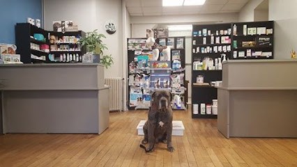 Veterinarian Clinic Center Mamers, Clinique Vétérinaire à Mamers