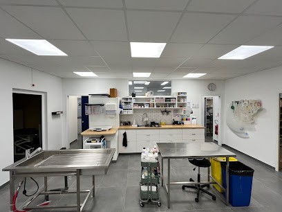 GSAB - Clinique Vétérinaire De Pluvigner, Clinique Vétérinaire à Pluvigner