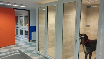 Clinique Vétérinaire IFS CAEN Sud Porte D'Espagne, Clinique Vétérinaire à Ifs