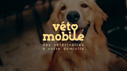 Véto-Mobile - Des vétérinaires à votre domicile, Clinique Vétérinaire à Saint-Lys