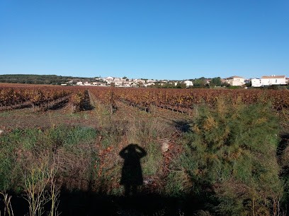 Doucet Laurence, Clinique Vétérinaire à Pignan