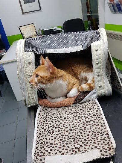 SCP Drs Veterinaires Reiller - Salle, Clinique Vétérinaire à Sarcelles