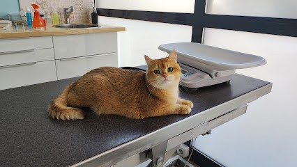 Belvedere Veterinary Clinic Suresnes, Clinique Vétérinaire à Suresnes
