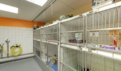 Veterinary Centre Clinic, Clinique Vétérinaire à Pontarlier