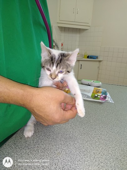 Clinique Vétérinaire du Docteur Lavaine et du Docteur Mazaleyrat SCP, Clinique Vétérinaire au Blanc-Mesnil