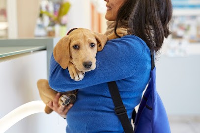 CLINIQUE VETERINAIRE DE LA MER, Clinique Vétérinaire à Villeneuve-Loubet