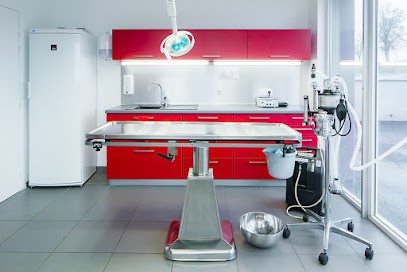 Clinique Vétérinaire Altilivet De Polignac, Clinique Vétérinaire à Polignac
