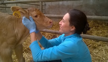 Frédérique Matignon Osteopathe animalier, Clinique Vétérinaire au Ham
