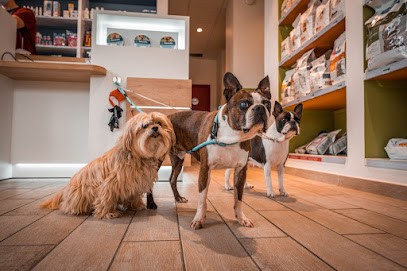 Anima-Vet Veterinary Clinic, Clinique Vétérinaire à Saint-Genis-Pouilly