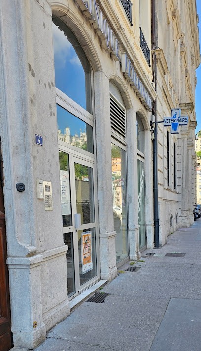 Clinique Vétérinaire Bellecour, Clinique Vétérinaire à Lyon 02