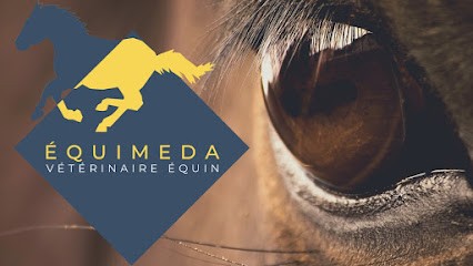 Equimeda - Alexandra Debacker - Vétérinaire équin - Rennes, Clinique Vétérinaire à Vern-sur-Seiche