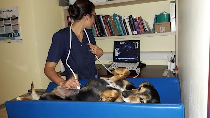 Vétérinaire de la Rance, Clinique Vétérinaire à Merdrignac