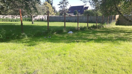 Cabinet vétérinaire d'Orgerus, Clinique Vétérinaire à Orgerus