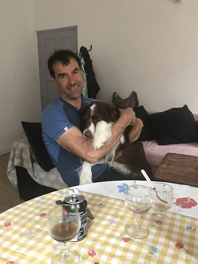 Cabinet Vétérinaire du Golu - Dr. Memmi Marc, Clinique Vétérinaire à Morosaglia